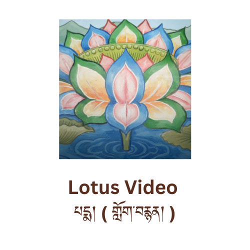 Lotus graphic and text lotus video from tea house conversations